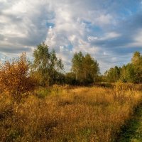 Бабье лето 7 :: Андрей Дворников