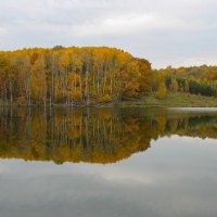 Отражение :: Владимир Иванович