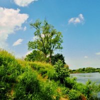 на р клязьма :: Владимир 