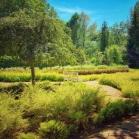 Ботанический сад г.Уфа :: Larisa Kuznetsova