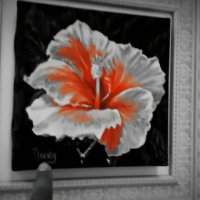 113 (184) :: CLOSE WAYS ALL