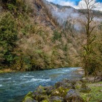 Рицинский реликтовый национальный парк. Абхазия. :: Дина Евсеева