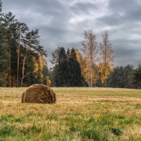 Про Питер :: Владимир Колесников