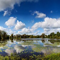 Тихвин :: Laryan1 Тихвин :: Laryan1