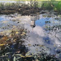 В жаркий день :: Евгения Куприянова