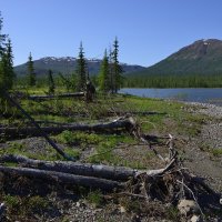 *** :: Александр Хаецкий