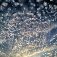 вечерняя вуаль на закате :: Евгения Куприянова