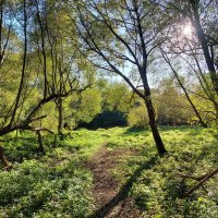 хорошая погодка :: Артём 