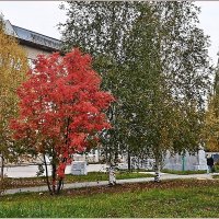 Сентябрьское утро... :: Aquarius - Сергей