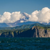 ... :: Жора Житников