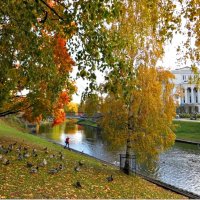 осень :: марта Камушкина