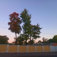 Рассвет :: Сапсан 