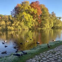 Осень :: Сапсан Осень :: Сапсан