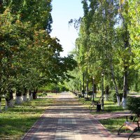 В парке :: Андрей Л. В.