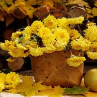 Осень золотая по земле идёт,красками играя всем их раздаёт! :: Нина Андронова