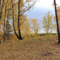 Шагает осень по Уралу :: Любовь Сахарова