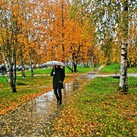 Осень..А дождь все идет и идет! :: Владимир 