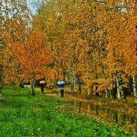 Октябрь...Дождливое утро! :: Владимир 