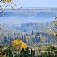 - :: Владимир Мигонькин