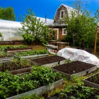 Шесть ссоток :: Александр Силинский