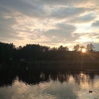 вечер в парке :: Елена Шаламова