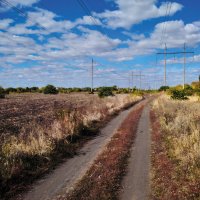 Осень. Дорога. :: Андрей. 