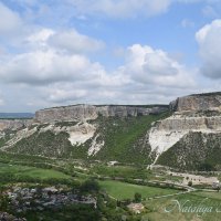 Природа Крыма :: Amazing Cosmea