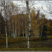 Осень наступила :: Aleksandr Gal Осень наступила :: Aleksandr Gal