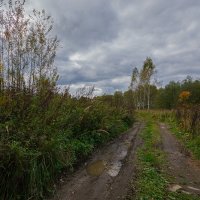 Осень. :: Андрей Андрианов Осень. :: Андрей Андрианов