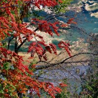 **** :: Анатолий Уткин