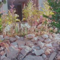 13  ОПЕН (444) :: OPEN WAYS ALL