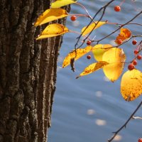 Над рекой :: Наталия Григорьева Над рекой :: Наталия Григорьева