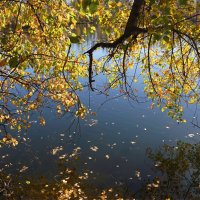 Бабье лето :: Наталия Григорьева Бабье лето :: Наталия Григорьева