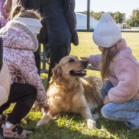 ... :: Елена Пономарева