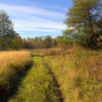 Первый день октября :: Вячеслав Минаев
