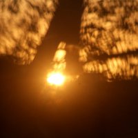 Солнечные соты :: олег свирский 