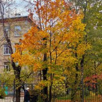 **** :: Алексей Архипов