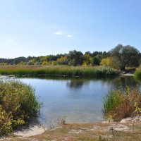 Жаркий сентябрь (+28) :: Татьяна Машошина