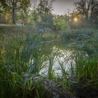 На рассвете :: Петр Фролов