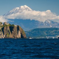 ... :: Жора Житников