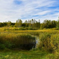 Клёвое место на озере (репортаж из поездок по области). :: Милешкин Владимир Алексеевич 