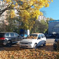 Осень листьями метет :: Galina Solovova