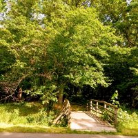 Ещё один мостик :: Veera V