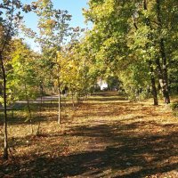 Осень :: Galina Solovova Осень :: Galina Solovova