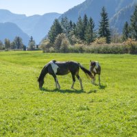 -- :: vladimir -- :: vladimir