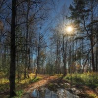 * :: Александр Иванов