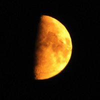 Растущая луна :: Людмила Смородинская