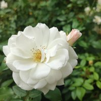 ,,, :: Сергей Тимоновский