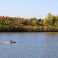 По Томи :: Галина Кан