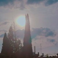 13  ОПЕН (451) :: OPEN WAYS ALL